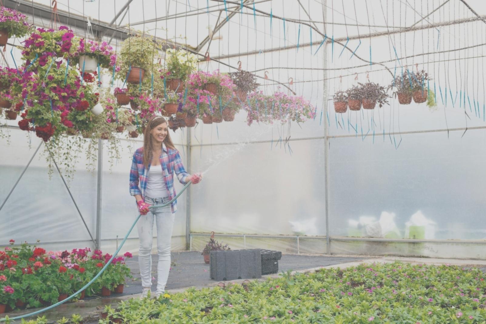 Early plant consultation session showing hands examining plant health
