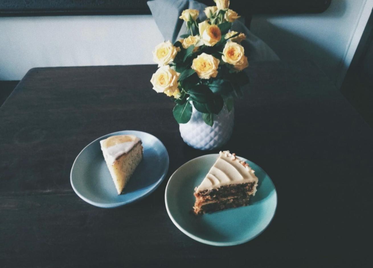 Detailed plant health assessment and care planning session